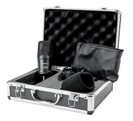  image 4 C2 Large-Diagphragm Condenser Microphone