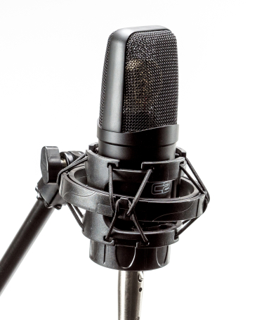  image 3 C2 Large-Diagphragm Condenser Microphone